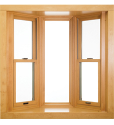 Window options