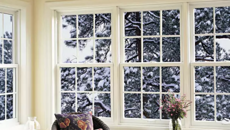 Windows with a snowy tree outside