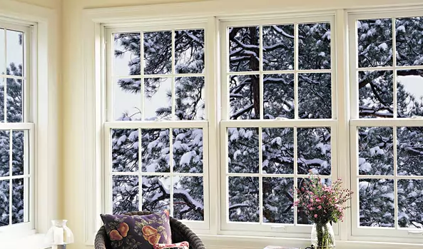 Windows with a snowy tree outside